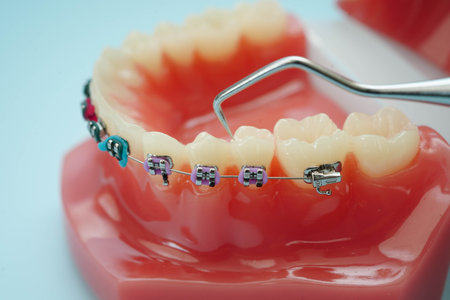 Teeth dental model with tool for dentist use to cleaning care treatment.の写真素材