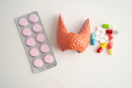 Thyroid model with pill drug treatment, Hyperthyroidism, Overactive or Lymphoma.の写真素材