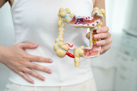 Intestine, Asian woman holding human anatomy model.