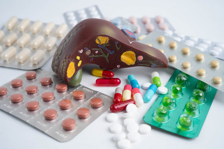 Liver model with pill drug treatment, Cirrhosis, Liver cancer, fatty liver.の写真素材
