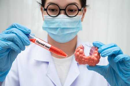 Doctor holding thyroid gland model and blood sample test tube in laboratory.