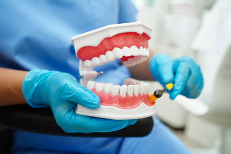 Doctor clean teeth denture with toothbrush for teach patient and dentist studying about dentistry.の写真素材