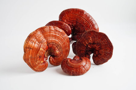 Lingzhi or Reishi mushroom with capsules, organic natural healthy food.