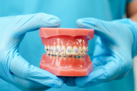 Asian dentist holding dental teeth model for learn about dentistry.