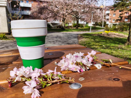Reusable Eco Coffee Cup on Table, Spring Sakura Cherry Blossom Concept, Close Up