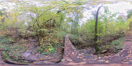 Pilgrimage Hiking Trail Early Autumn Green and Yellow Forest, 360 Photoの写真素材