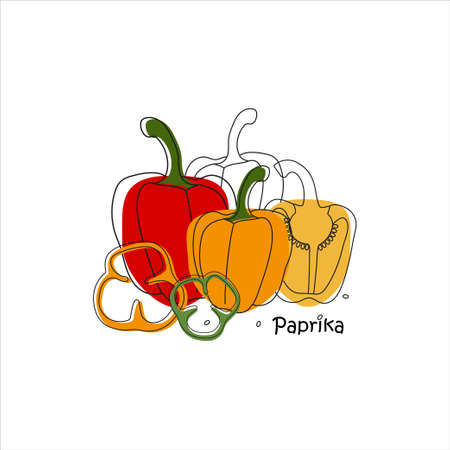 Sweet paprika pepper hand drawn modern illustration. Stylised hand drawn vegetables background for farming marking.のイラスト素材