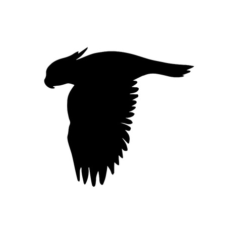 Vector flat black silhouette of flying cockatoo parrot isolated on white backgroundのイラスト素材