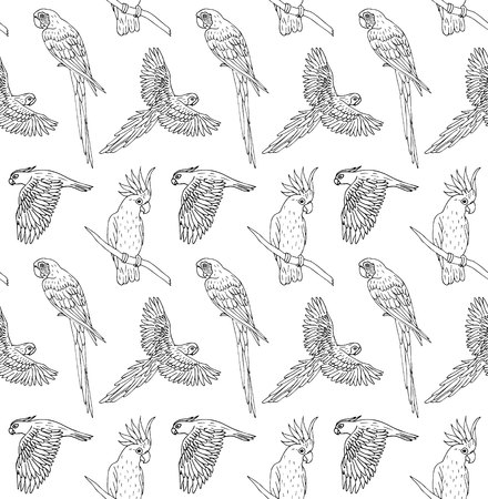Vector seamless pattern of black ink line hand drawn parrot flying and sitting isolated on white backgroundのイラスト素材