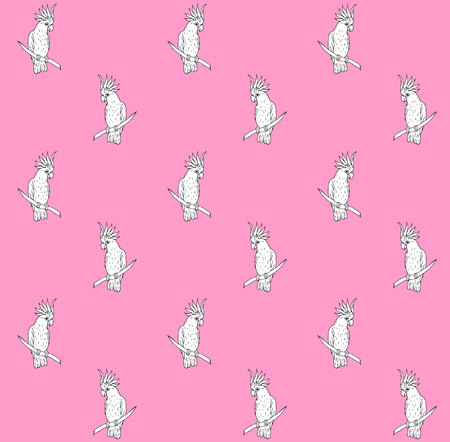 Vector seamless pattern of black line hand drawn cockatoo parrot sitting on tree branch isolated on pink backgroundのイラスト素材