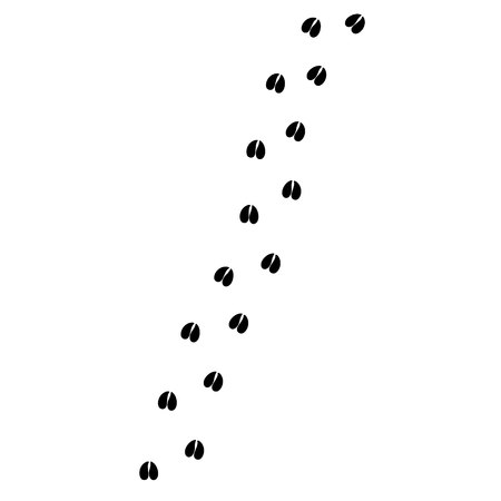 Vector flat black cow deer goat sheep foot print silhouette path isolated on white backgroundのイラスト素材
