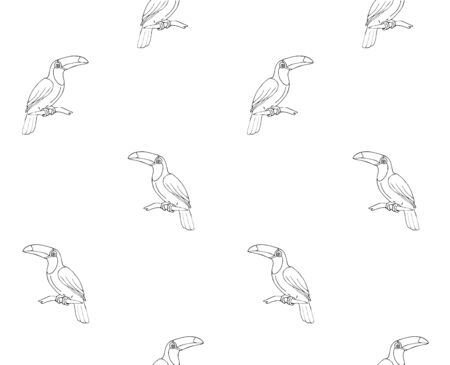 Vector seamless pattern of flat cartoon toucan tropical bird isolated on white backgroundのイラスト素材