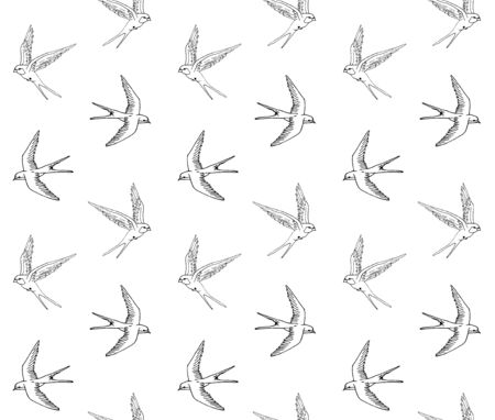 Vector seamless pattern of hand drawn doodle sketch swallow bird isolated on white backgroundのイラスト素材
