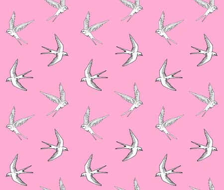 Vector seamless pattern of white hand drawn doodle sketch swallow bird isolated on pastel pink backgroundのイラスト素材