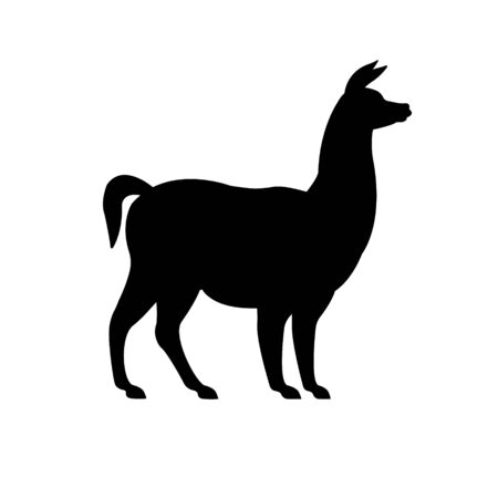 Vector flat black silhouette of llama isolated on white backgroundのイラスト素材