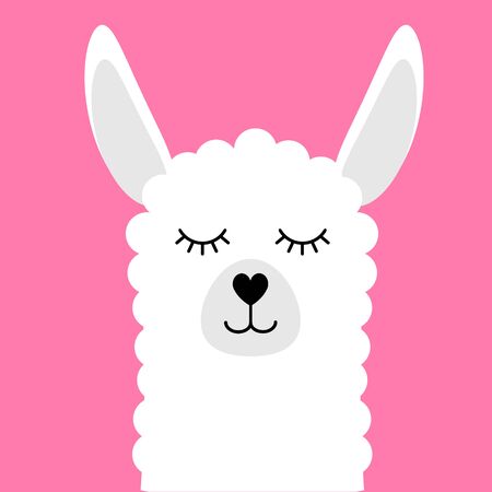 Vector flat cartoon llama face with smile isolated on pink backgroundのイラスト素材