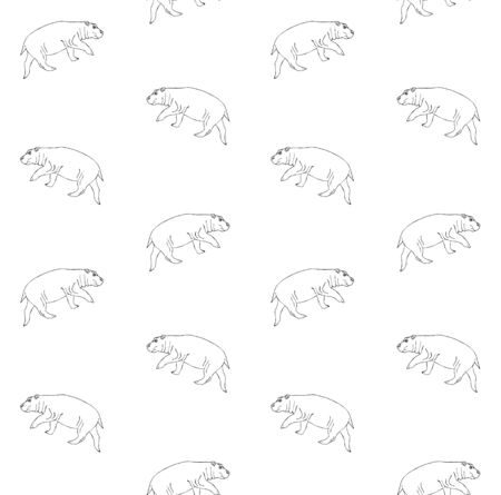 Vector seamless pattern of black line hand drawn sketch hippopotamus hippo isolated on white backgroundのイラスト素材