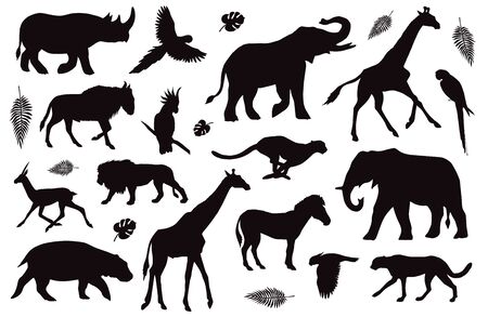 Vector flat black set collection of African animals silhouette isolated on white backgroundのイラスト素材