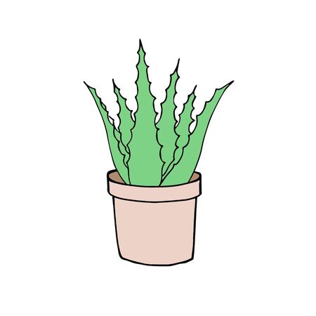 Vector green hand drawn sketch doodle aloe vera in flower pot isolated on white backgroundのイラスト素材