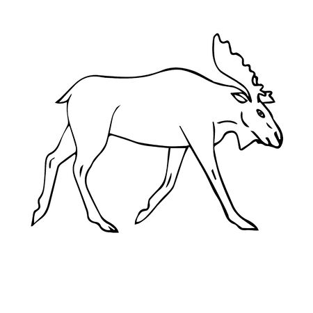 Vector hand drawn doodle sketch moose isolated on white backgroundのイラスト素材