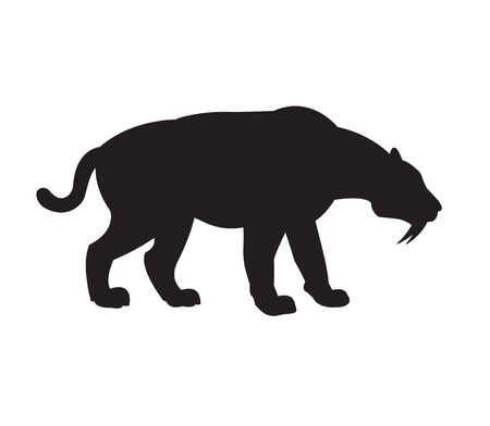 Vector black flat silhouette of saber-toothed tiger isolated on white backgroundのイラスト素材