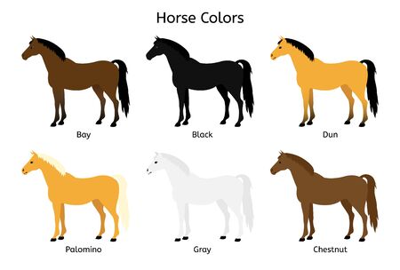 Vector flat cartoon collection set of different horse colors isolated on white backgroundのイラスト素材