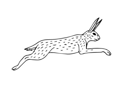 Vector hand drawn sketch jumping hare isolated on white backgroundのイラスト素材
