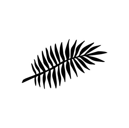 モンステラの写真 イラスト素材一覧 53 558件 ストックフォトのamanaimages Plus