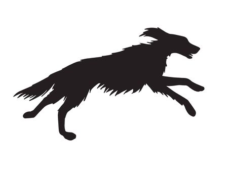Vector black hunting setter dog silhouette isolated on white backgroundのイラスト素材