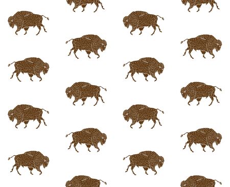 Vector seamless pattern of brown hand drawn wild bison ox isolated on white backgroundのイラスト素材