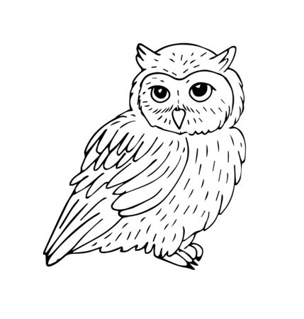 Vector hand drawn sketch sitting owl isolated on white backgroundのイラスト素材