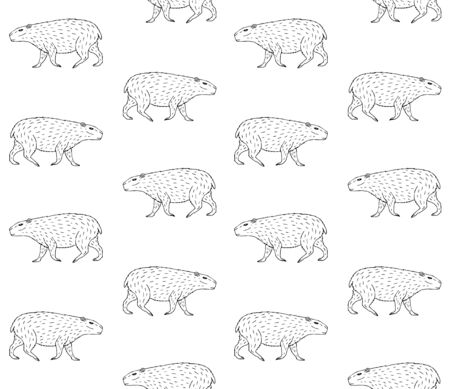 Vector seamless pattern of hand drawn sketch capybara isolated on white backgroundのイラスト素材