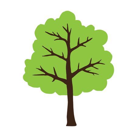 Vector hand drawn doodle sketch green tree isolated on white backgroundのイラスト素材