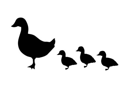 Vector black duck and baby ducklings silhouette isolated on white backgroundのイラスト素材