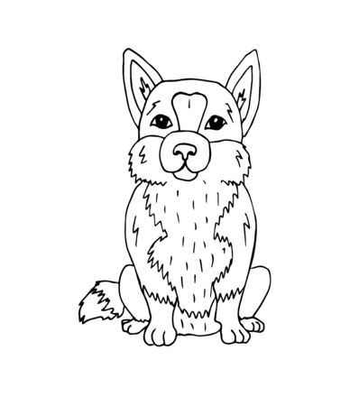 hand drawn doodle sketch corgi dog isolated on white backgroundのイラスト素材