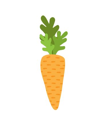 hand drawn doodle cartoon orange carrot isolated on white backgroundのイラスト素材