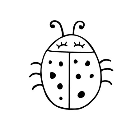 Vector hand drawn doodle sketch ladybug isolated on white backgroundのイラスト素材