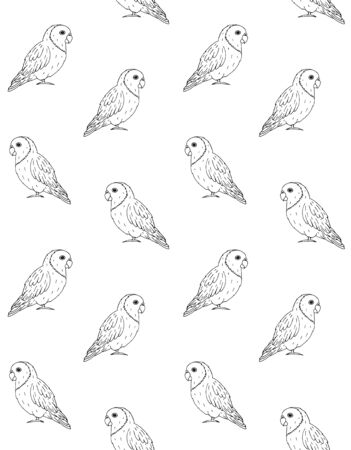 seamless pattern of hand drawn doodle sketch lovebirds parrots isolated on white backgroundのイラスト素材