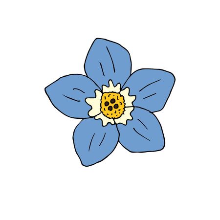 Vector hand drawn doodle sketch blue forget me not flower isolated on white backgroundのイラスト素材
