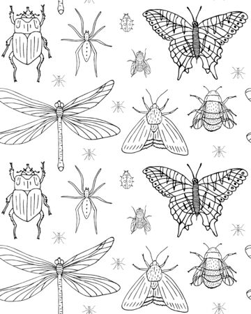 Vector seamless pattern of hand drawn doodle sketch different insects isolated on white backgroundのイラスト素材
