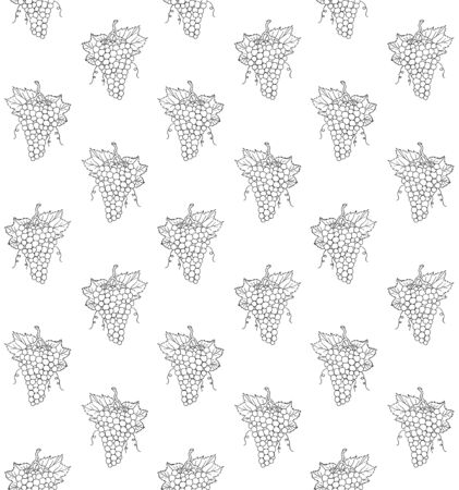 Vector seamless pattern of hand drawn doodle sketch grapes isolated on white backgroundの写真素材