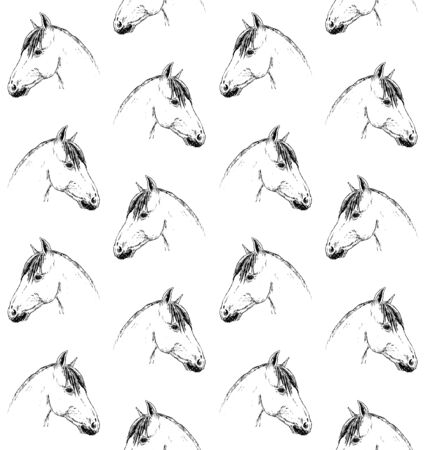 Vector seamless pattern of hand drawn doodle sketch horse head isolated on white backgroundの写真素材