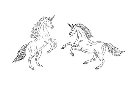 Vector hand drawn doodle sketch two unicorn isolated on white backgroundのイラスト素材