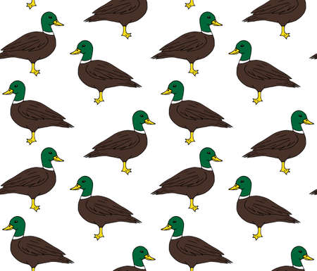 Vector seamless pattern of colored hand drawn doodle sketch duck isolated on white backgroundのイラスト素材