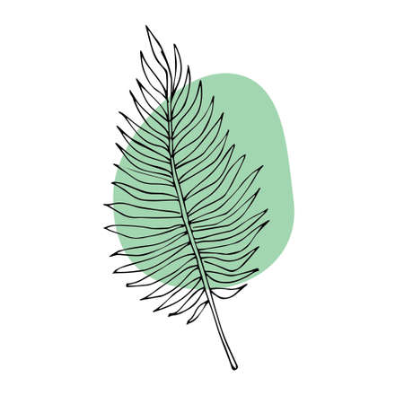 Vector hand drawn doodle sketch palm leaf and abstract stain isolated on white backgroundのイラスト素材