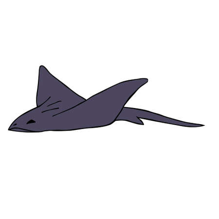 Vector hand drawn doodle sketch colored devil fish skate fish isolated on white backgroundのイラスト素材