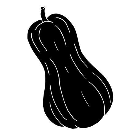 Vector hand drawn doodle sketch black pumpkin isolated on white backgroundのイラスト素材