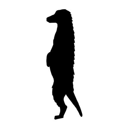 Vector hand drawn meerkat silhouette isolated on white backgroundのイラスト素材