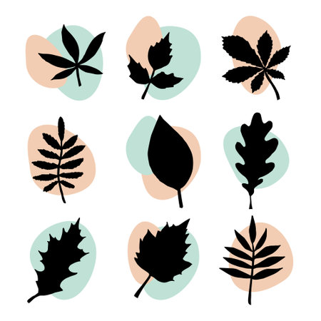 Vector set of leaves silhouette and abstract dots