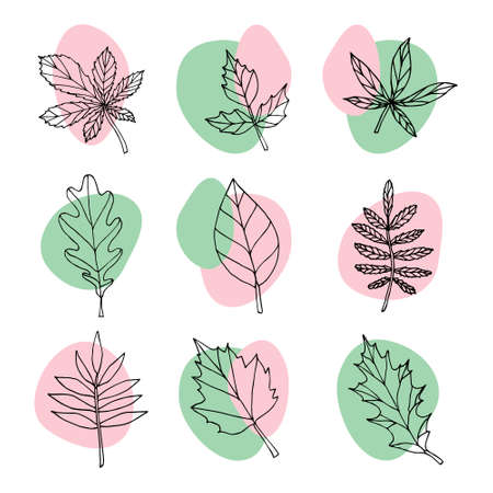 Vector set of leaves and abstract dotsのイラスト素材